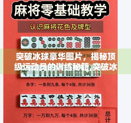 突破冰球豪华图片，揭秘顶级运动员的训练秘籍,突破冰球豪华图片