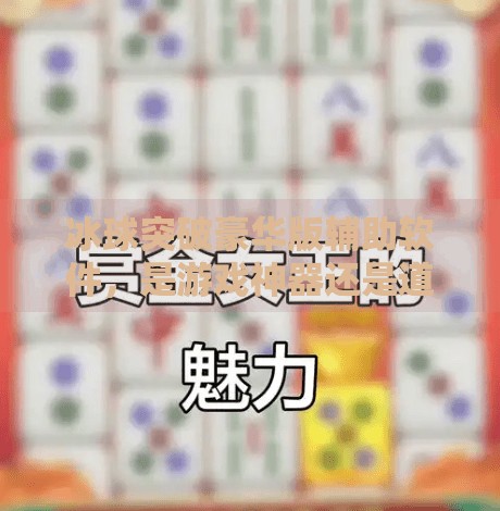 冰球突破豪华版辅助软件，是游戏神器还是道德陷阱？冰球突破豪华版辅助软件